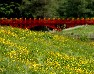 Lake & Gardens